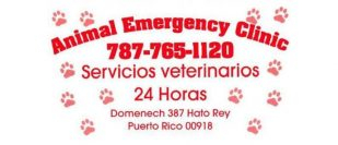 Animal Clinic Emergency 24 Hrs