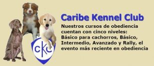 Caribe Kennel Club
